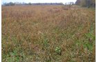 Property photo 53 - 80 Acres & Home - Property Offered in 4 Tracts from 2.3 to 30.0 Acres